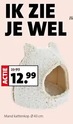 Intratuin Mand kattenkop. aanbieding