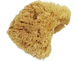 Hornbach Schilder effectspons Effectline 11-12 cm aanbieding