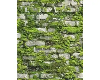 Hornbach MARBURG Vliesbehang 45731 steenoptiek natuur groen aanbieding