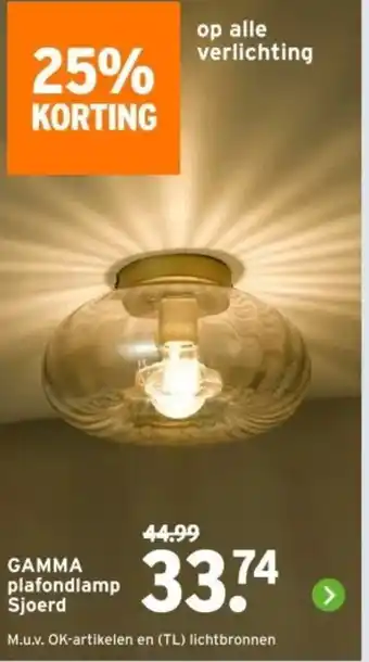 GAMMA GAMMA plafondlamp Sjoerd aanbieding