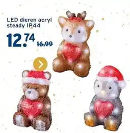 GAMMA LED dieren acryl steady IP44 aanbieding