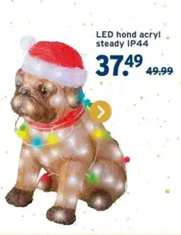 GAMMA LED hond acryl steady IP44 aanbieding