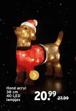 GAMMA Hond acryl 40 LED aanbieding