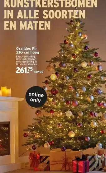 GAMMA Grandes Fir aanbieding