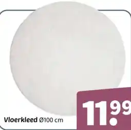 Wibra Vloerkleed aanbieding