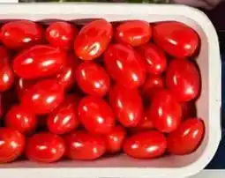 Ekoplaza SNACKTOMATEN van Frank de Koning uit Brielle aanbieding