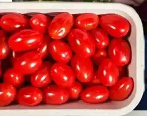 Ekoplaza SNACKTOMATEN van Frank de Koning uit Brielle aanbieding