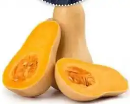 Ekoplaza BUTTERNUT POMPOEN aanbieding