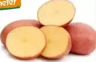 Ekoplaza AARDAPPEL ALOUETTE aanbieding