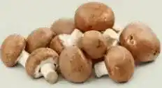 Ekoplaza KASTANJE CHAMPIGNONS aanbieding