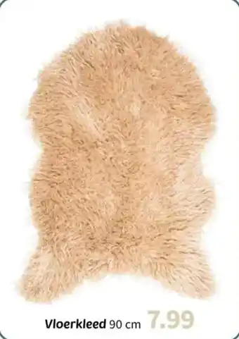 Wibra Vloerkleed aanbieding