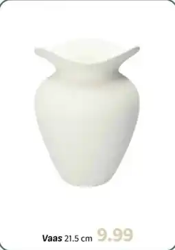 Wibra Vaas aanbieding