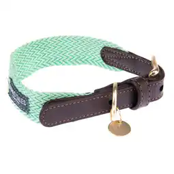 Zooplus Halsband Nomad Tales Bloom, mint - Maat S: 36 - 40 cm Halsomvang, B 25 mm aanbieding