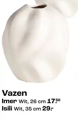 Kwantum Vazen Isili aanbieding