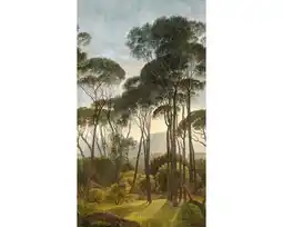 Hornbach GRANDECO Fotobehang vlies woud 159x280 cm aanbieding