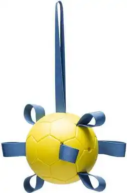 Intratuin Beeztees speelbal Fetch D 13 H 13 cm aanbieding