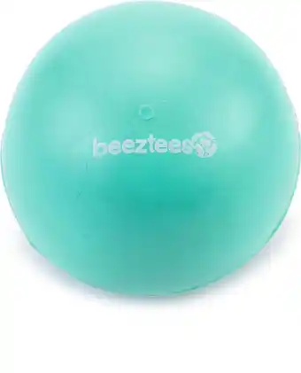 Intratuin Beeztees speelbal Massief nummer 4 mint D 7,5 cm aanbieding
