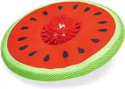 Intratuin Beeztees hondenspeelgoed meloen Spikie 25 x 8 x 8 cm aanbieding