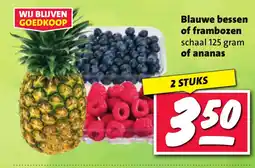 Nettorama Blauwe bessen of frambozen aanbieding