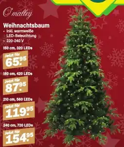 Van Cranenbroek Weihnachtsbaum aanbieding