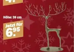 Van Cranenbroek O'malley aanbieding
