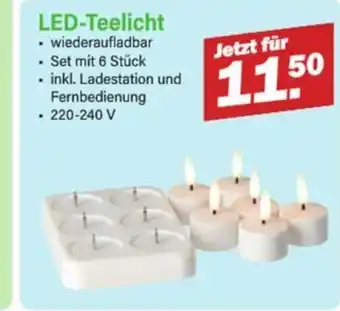 Van Cranenbroek LEDTeelicht aanbieding