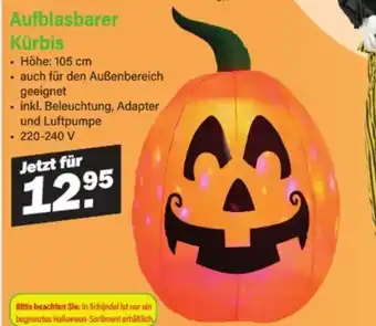Van Cranenbroek Aufblasbarer Kürbis aanbieding