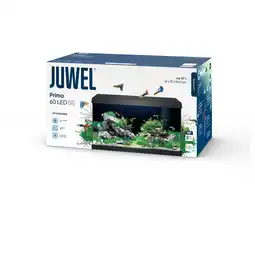 Pets Place Juwel Aquarium Primo 60 2.0 - Aquaria - 61x31x37 cm Zwart aanbieding