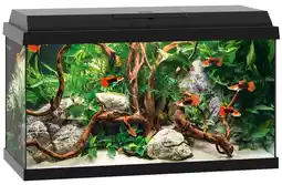 Pets Place Juwel Aquarium Primo 60 - Aquaria - 61x31x37 cm Zwart Ca. 60 L aanbieding