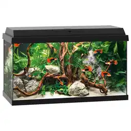 Pets Place Juwel Aquarium Primo 60 - Aquaria - 61x31x37 cm Zwart Ca. 60 L aanbieding