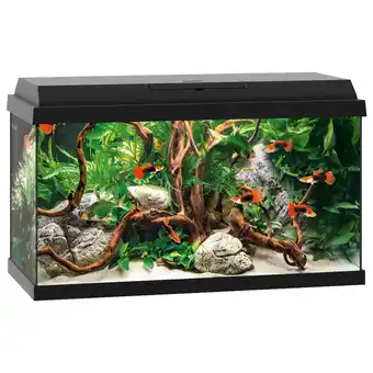 Pets Place Juwel Aquarium Primo 60 - Aquaria - 61x31x37 cm Zwart Ca. 60 L aanbieding