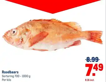 Makro Roodbaars aanbieding