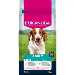 Zooplus 3x12kg Eukanuba Premium Nutrition Adult Small & Medium Breed Zalm Droog Hondenvoer aanbieding