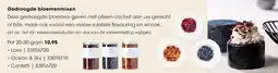 HANOS Gedroogde bloemenmixen aanbieding