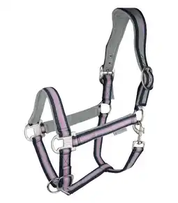 Welkoop Waldhausen Esperia - Halster - Pony - Orchidee aanbieding
