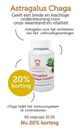 De Rode Pilaren Astragalus Chaga aanbieding