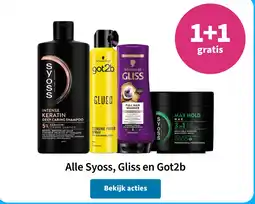 Plein.nl Alle Syoss, Gliss en Got2b aanbieding