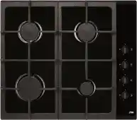 Expert Etna T110VZTA aanbieding