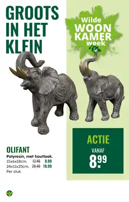 GroenRijk Olifant aanbieding