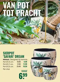 GroenRijk Sierpot Safari Dream aanbieding