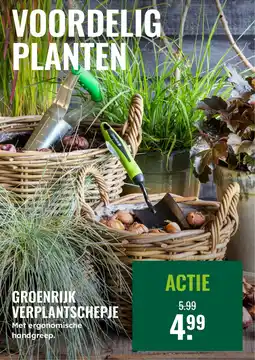 GroenRijk Groenrijk verplantschepje aanbieding