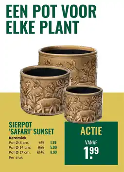 GroenRijk Sierpot Safari Sunset aanbieding