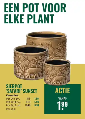 GroenRijk Sierpot Safari Sunset aanbieding