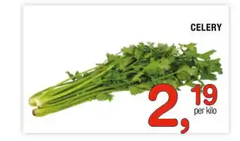 Amazing Oriëntal Celery aanbieding