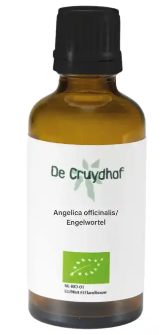 De Online Drogist Cruydhof Angelica Officinalis/Engelwortel Druppels aanbieding