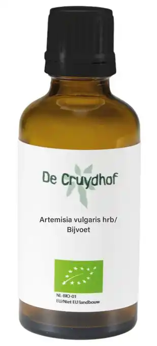 De Online Drogist Cruydhof Artemisia Vulgaris hrb/Bijvoet Druppels aanbieding