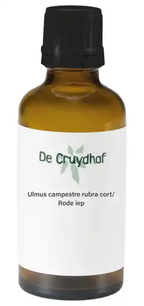 De Online Drogist Cruydhof Ulmus Campestre Rubra Cort/Rode Iep Druppels aanbieding