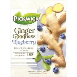 Jumbo Pickwick Ginger Goodness Blueberry Kruidenthee aanbieding