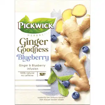 Jumbo Pickwick Ginger Goodness Blueberry Kruidenthee aanbieding