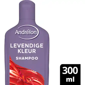 Jumbo Andrelon Shampoo Levendige Kleur 300 ML aanbieding